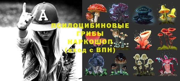 Альфа ПВП Белокуриха
